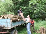 nÃ¤chste Woche: Aufladen des Holzes, Spalten und Stapeln