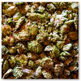 Hopfendolden